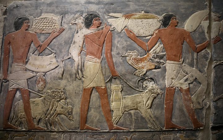 A wall of a chamber of the tomb of Mehu is seen after it was opened for the public at Saqqara area near Egypt’s Saqqara necropolis, in Giza, Egypt Sept. 8, 2018.