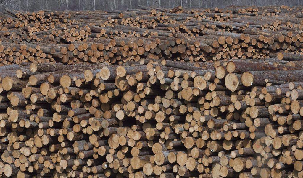 Softwood lumber is pictured at Tolko Industries in Heffley Creek, B.C., April, 1, 2018.