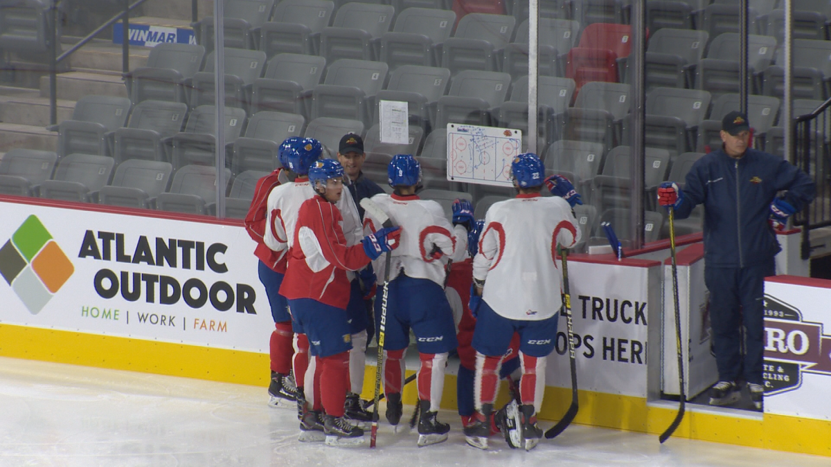 The Wildcats hope to bounce back after dropping their contest to the Saint John Sea Dogs Sunday.