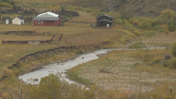 we want to keep the story of this and the story that’s yet to come,” said ranch owner Edith Wearmouth.