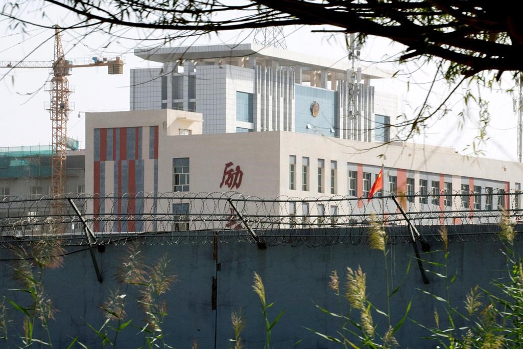 In this Aug. 31, 2018, photo, barbed wire protects the walls around a cluster of schools on the outskirts of Kashgar, in western China’s Xinjiang region. (AP Photo/Ng Han Guan)