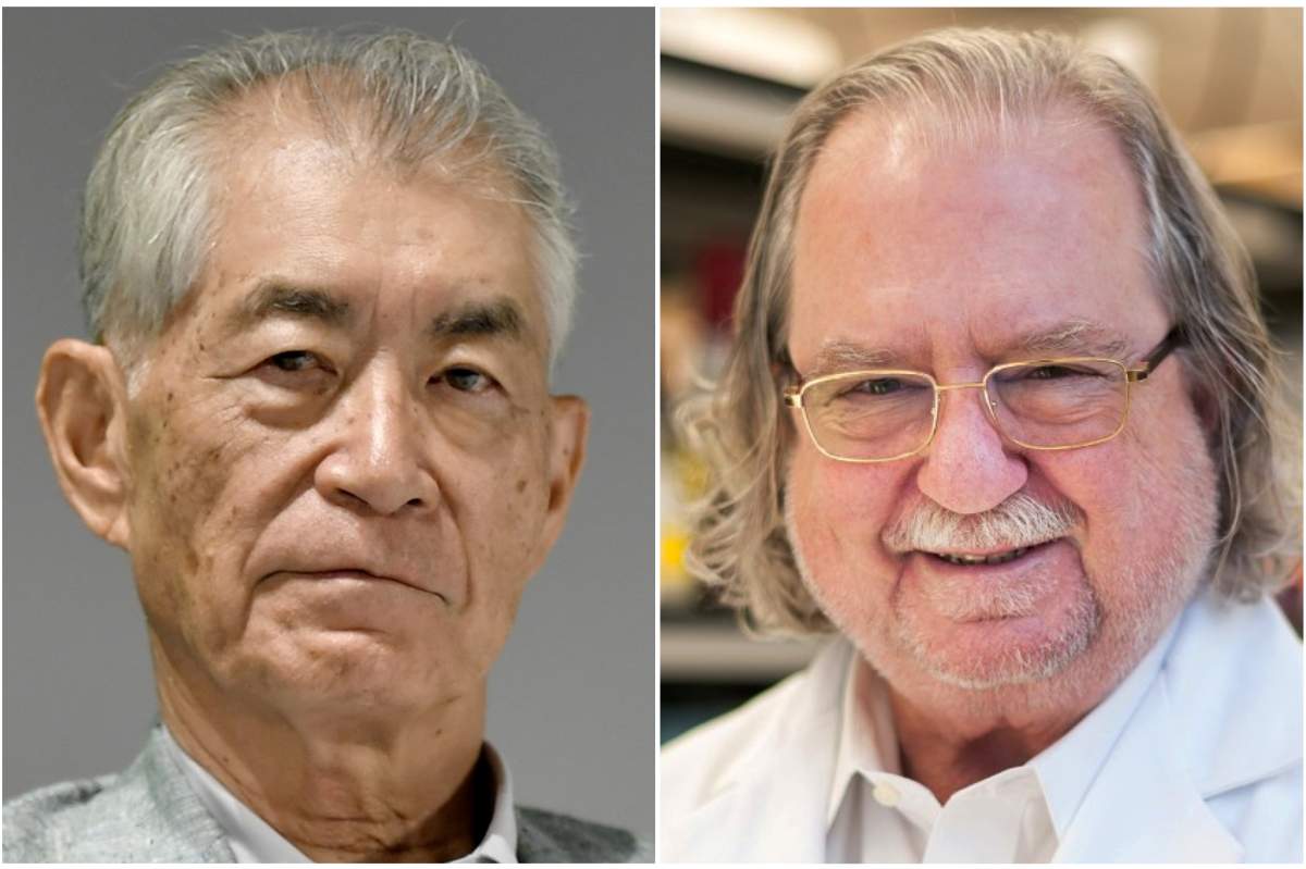 A combination photo shows Ph.D. James P. Allison of MD Anderson Cancer Center at The University of Texas in this picture obtained from MD Anderson Cancer Center at The University of Texas on October 1, 2018 (R) and Kyoto University Professor Tasuku Honjo in Kyoto, Japan in this photo taken by Kyodo September 17, 2018. 