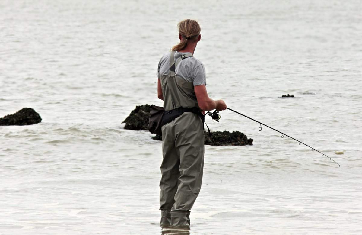 The Manitoba Wildlife Federation is warning of sharply declining fish stocks in Lake Winnipeg.