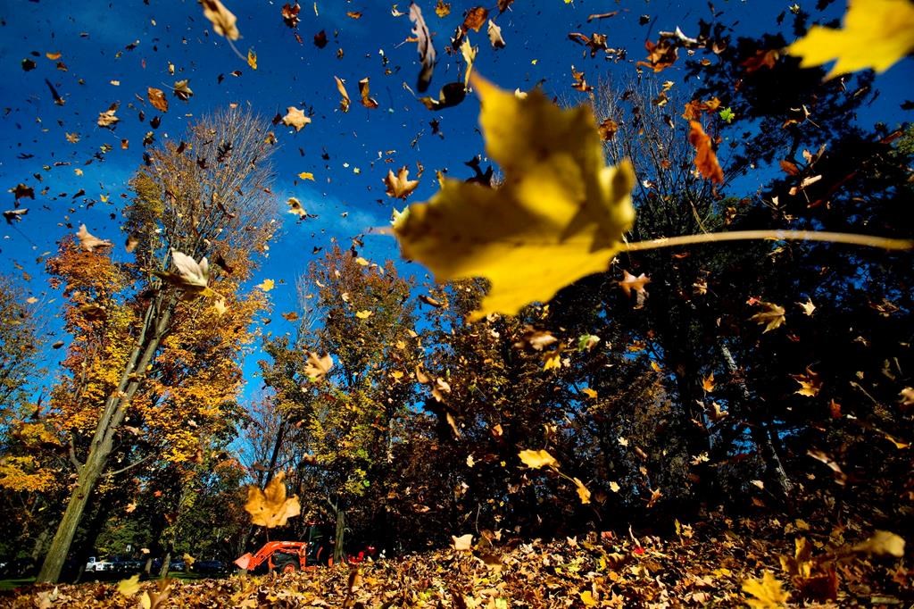 Nature Conservancy of Canada recommends reasons not to rake your leaves this fall to help the environment. 