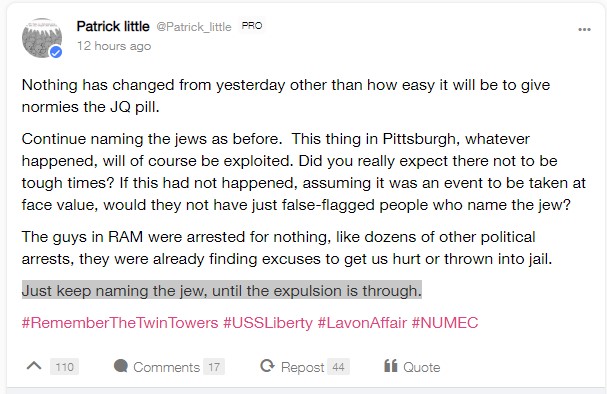 A screen grab from Gab’s site on Sunday, Oct. 28, before the platform was taken down showing user Patrick Little’s anti-Semitic comments.