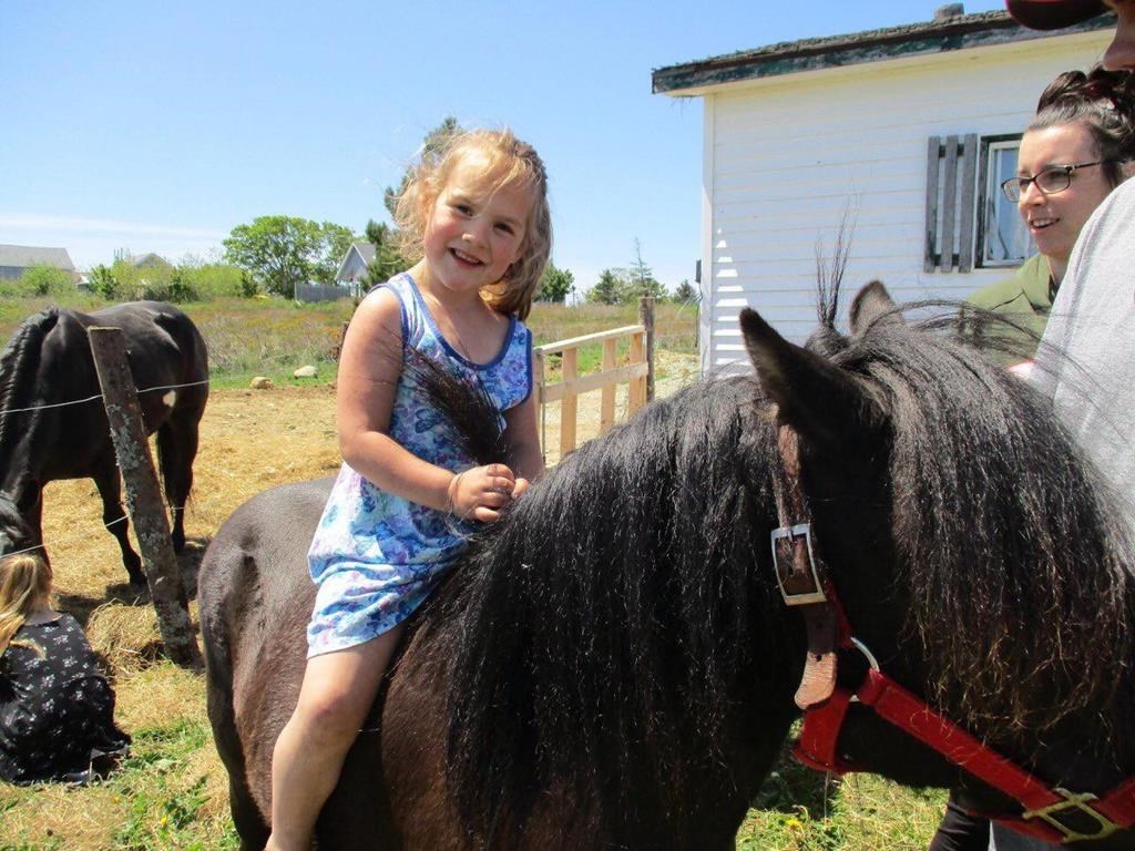 N.S. parade organizers emphasize safety after child dies at Yarmouth parade - image
