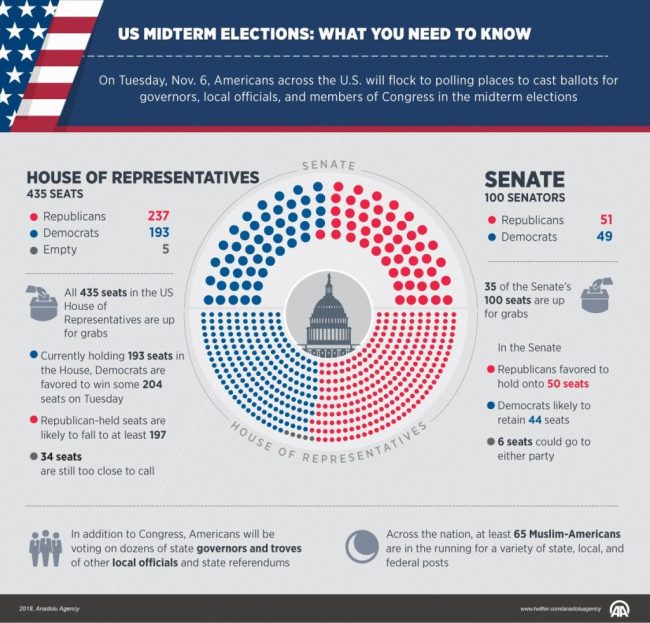 U.S. midterm elections: What you need to know
