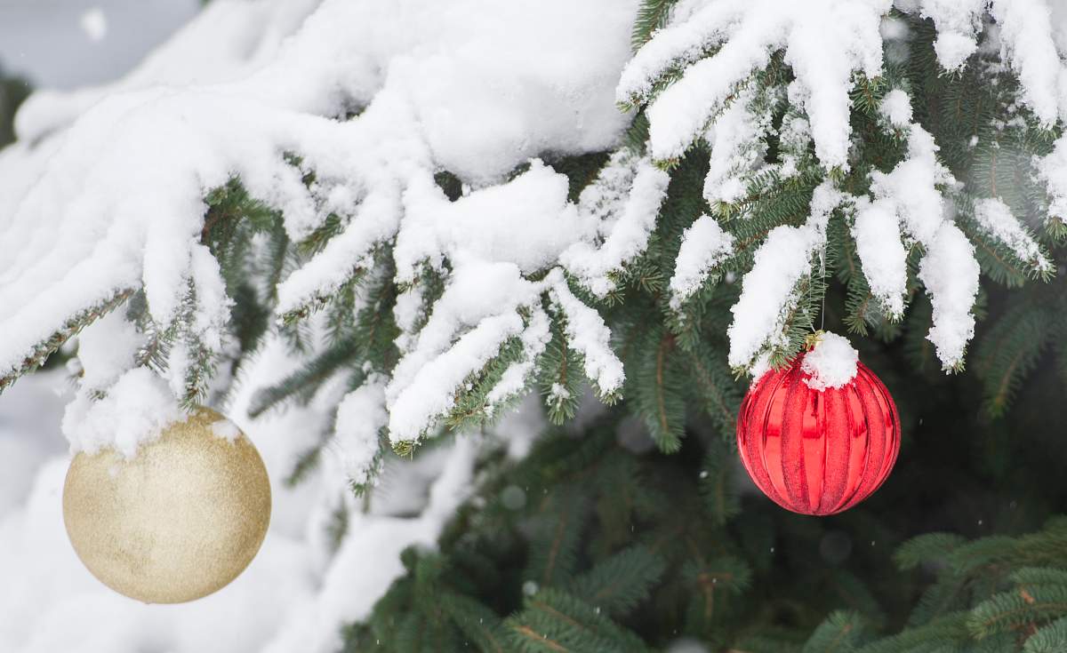 Ornaments hang on a snow covered tree in Montreal, December 24, 2016. 