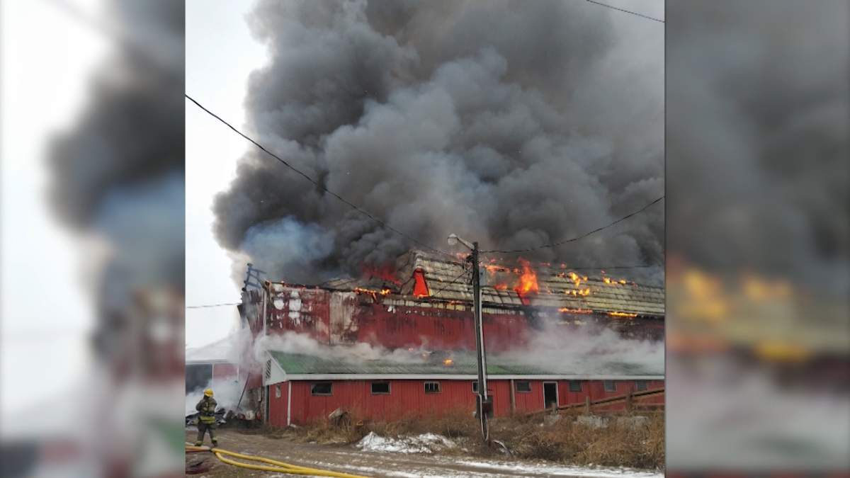 Quinte West fire crews were called to the barn fire on Gallivan Road around 1:30 pm on Tuesday.