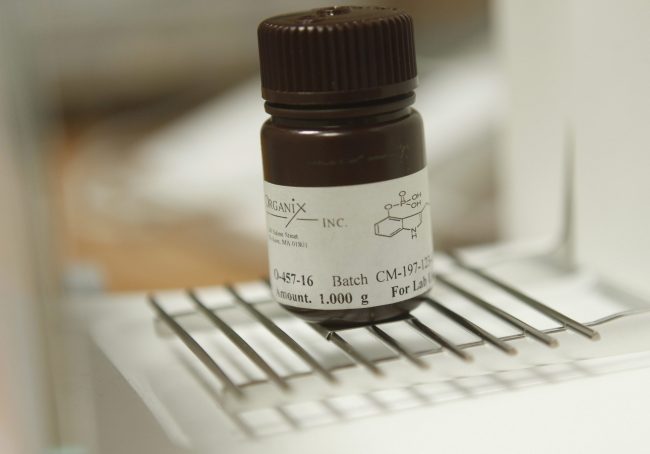 One gram of psilocybin is seen on a scale at New York University in New York, April 13, 2010.