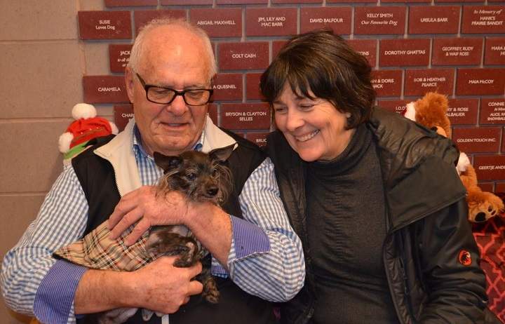 Hoss, a 17-year-old Chinese Crested dog, has a new home for the holidays, according to the South Okanagan-Similkameen branch of the SPCA.