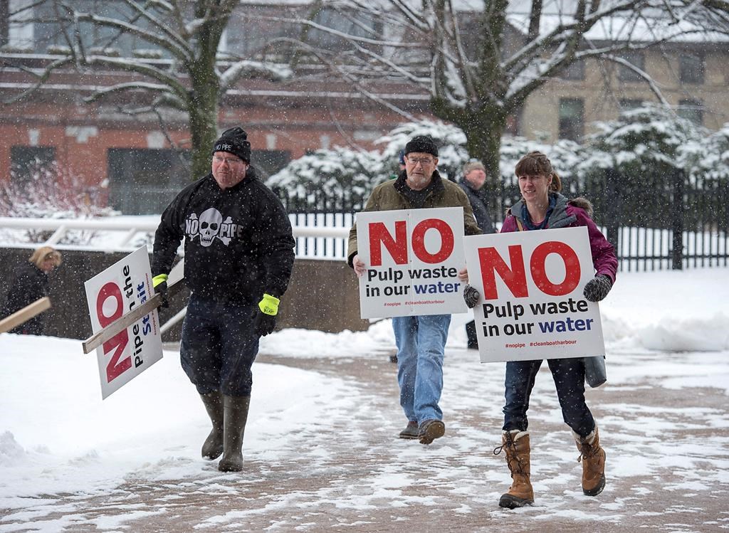 Protesters gather outside Nova Scotia Supreme Court in Halifax on Tuesday, Dec. 18, 2018 to show their opposition to plans to dump effluent from a mill into the Northumberland Strait. THE CANADIAN PRESS/Andrew Vaughan
