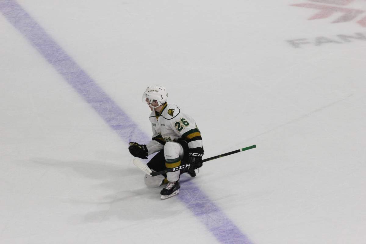 Josh Nelson of the London Knights celebrates his overtime winner against the Niagara Ice Dogs.