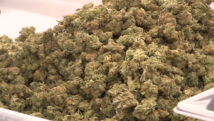 Kawartha Lakes OPP seized cannabis at a RIDE check and a fire call on the weekend.