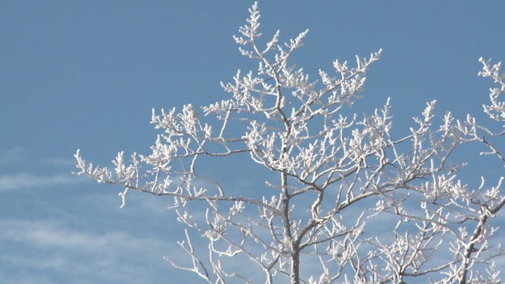 Going outdoors in -30: it’s doable, but make sure you bundle up properly - image