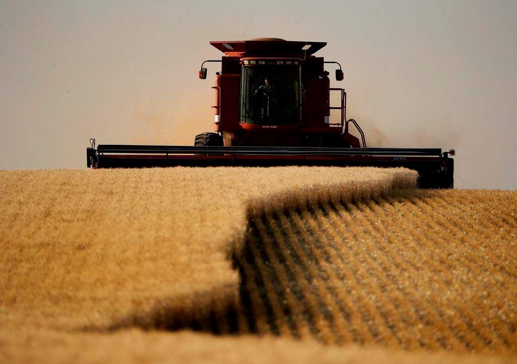 After what has been a very wet planting seasons, London-area farmers will be looking to make up for lost time this weekend.