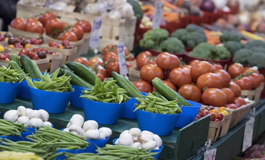 A newly-overhauled Canada Food Guide highlights a modern approach to encouraging healthy eating in Canada.