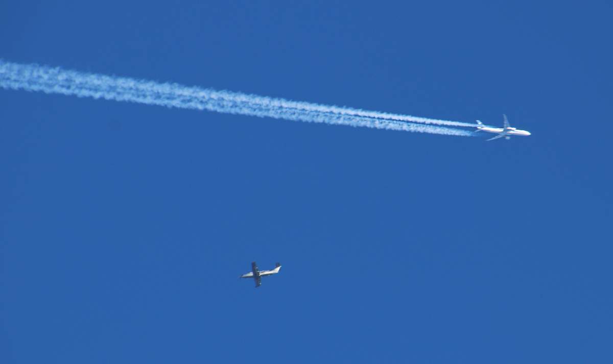 Neil Aird, an aviation enthusiast, took this picture, which he claims in a photo of Kingston’s mystery plane.