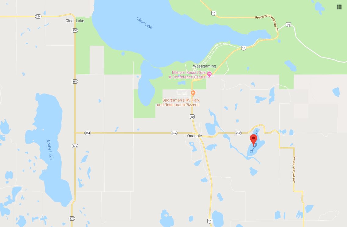 Octopus Lake is just off Hwy. 10, south of Clear Lake.
