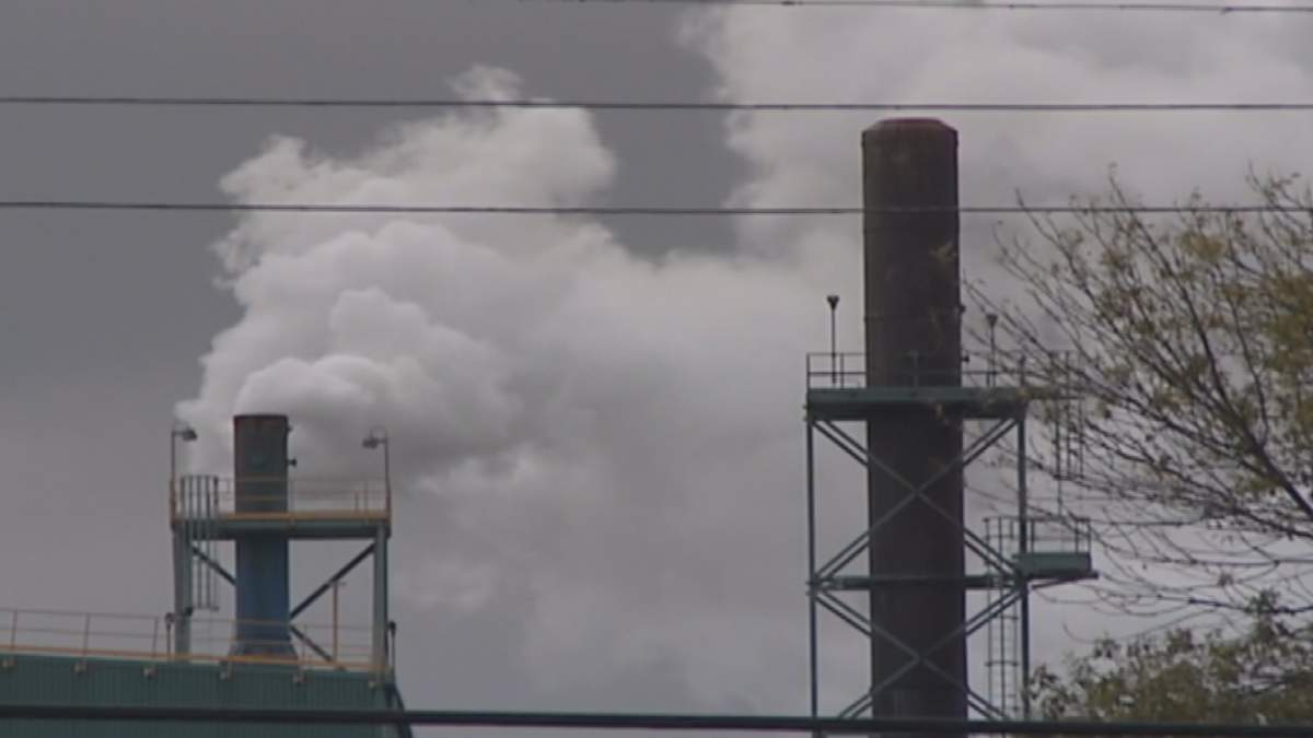 Edmundston, N.B., declares climate emergency - image