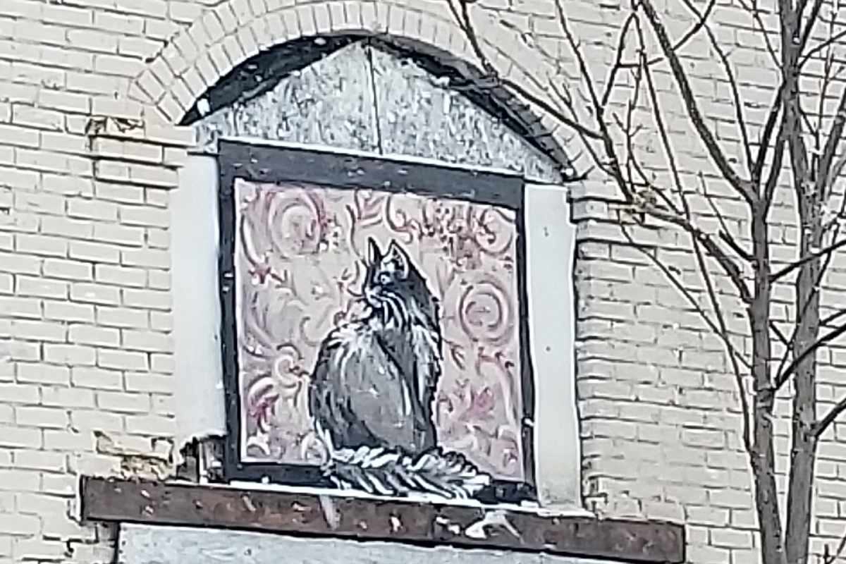 A beautification project by neighbours saw the windows covered with paintings.