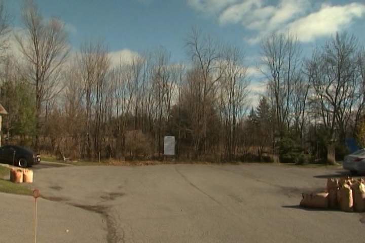 A 13.8-acre woodland off Graceland Avenue is slated for a 45-home subdivision, despite concerns from area residents and the district councillor.