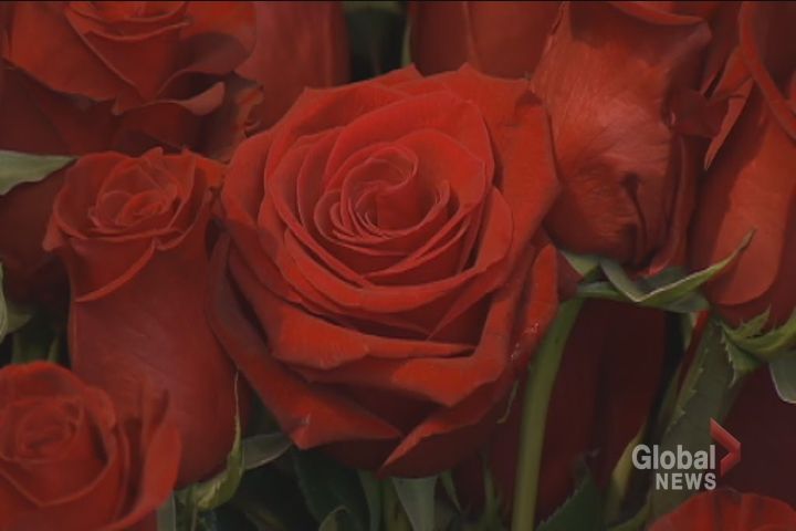 Forest of Flowers says roses remain the most popular Valentine's Day order. 
