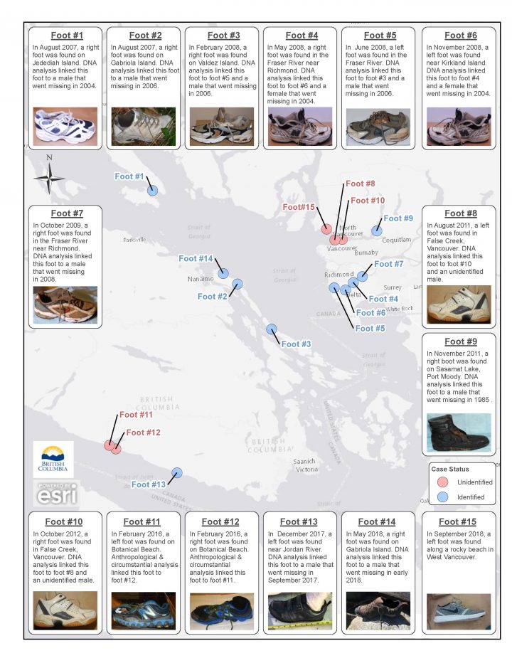 Another disarticulated foot washes up on B.C. beach - image