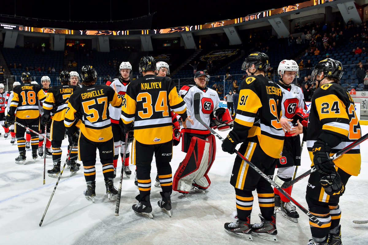 The Ottawa 67's eliminated the Hamilton Bulldogs from the 2019 OHL playoffs in four games.