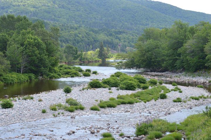 FILE - Minister Iain Rankin says the bill will still pass during the current government's mandate, but there will be more consultation with industry, private landowners and environmental groups.