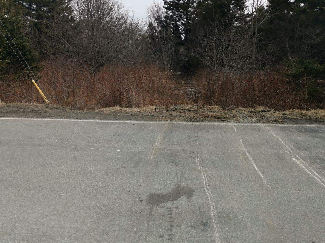 Police say the crash at the corner of Dyke and Cow Bay Road happened around 1:30 a.m. Saturday. 