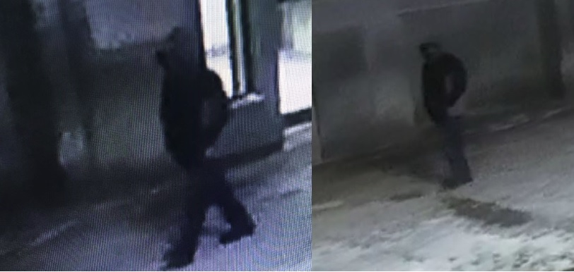 Investigators have released the above photos of a suspect wanted in connection with a knifepoint robbery case. 