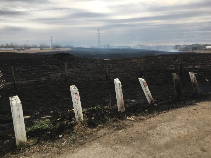 A grass fire in Edmonton near the Henday and Yellowhead Trail, on Monday, April 22, 2019.