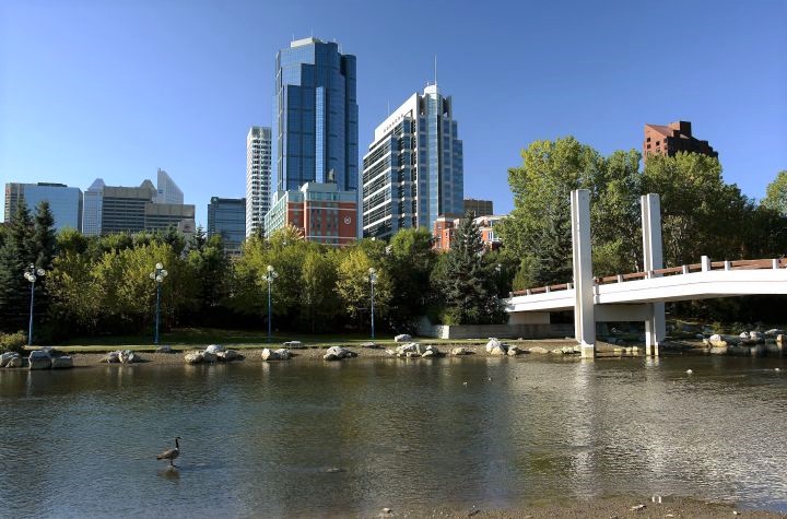 The Bow River and Eau Claire area with the downtown skyline of Calgary (Mackenzie Lad/IIJ).
