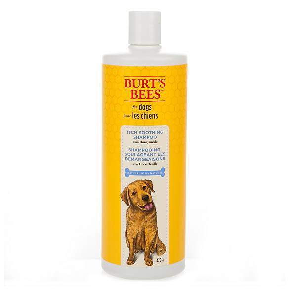 22 eco-friendly products to shop for in honour of Earth Day - image