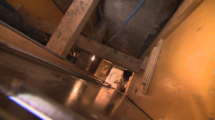 A pair of cats that had been stuck in a deep east Edmonton sinkhole since Good Friday are finally out, according to the homeowner whose property the sinkhole is home to.