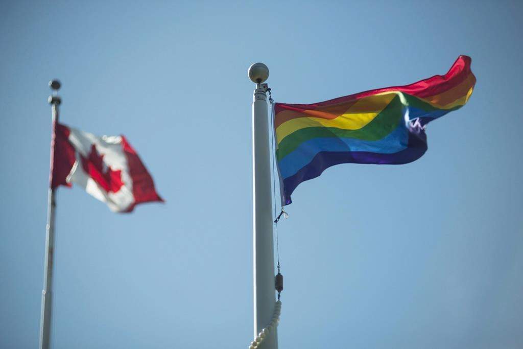 Rainbow flag