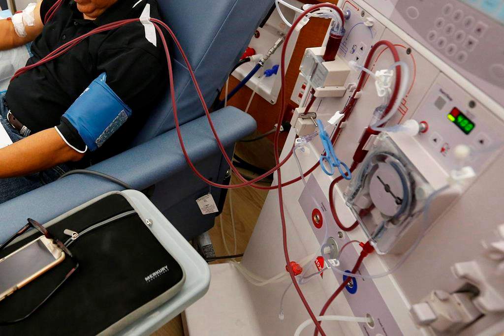 FILE - In this Monday, Sept. 24, 2018 file photo, a patient undergoes dialysis.