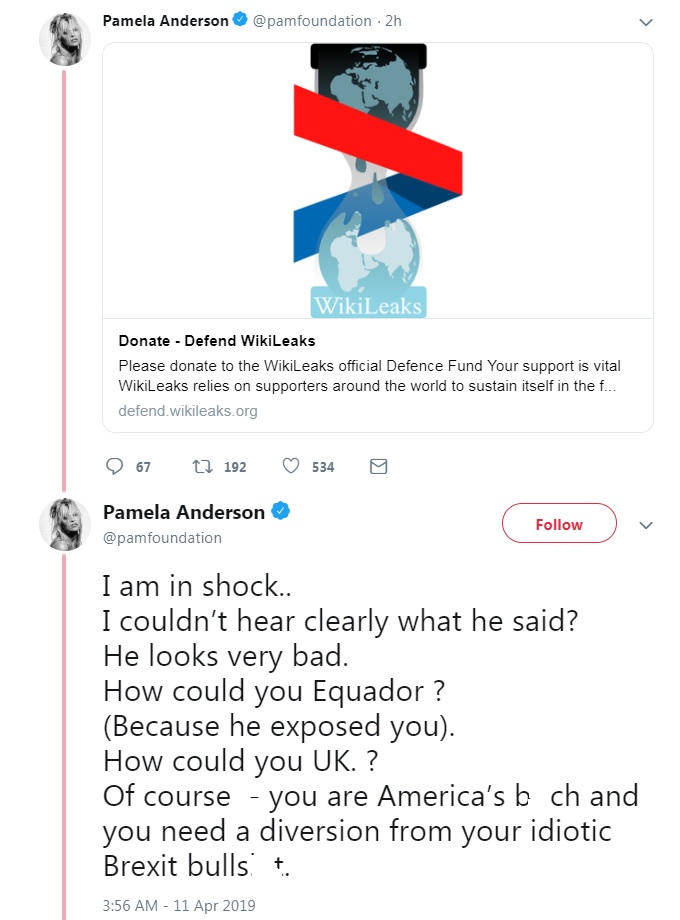 Pamela Anderson posts series of tweets lamenting Julian Assange arrest - image