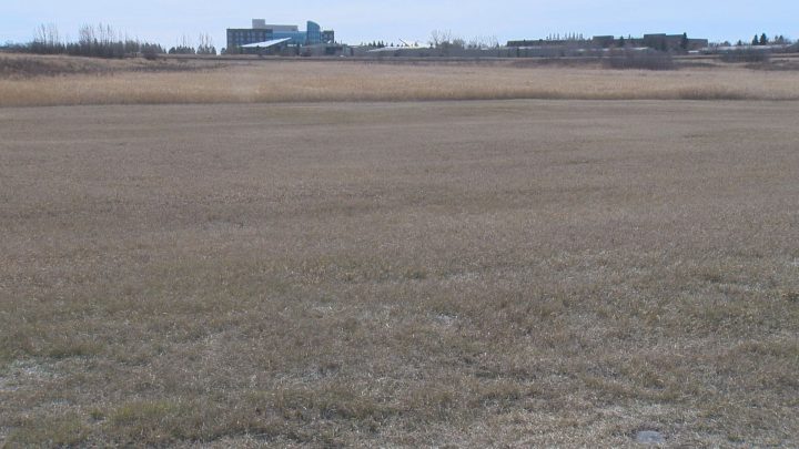 The 4,400-square-metre orchard will be home to a variety of fruit-bearing trees and shrubs.