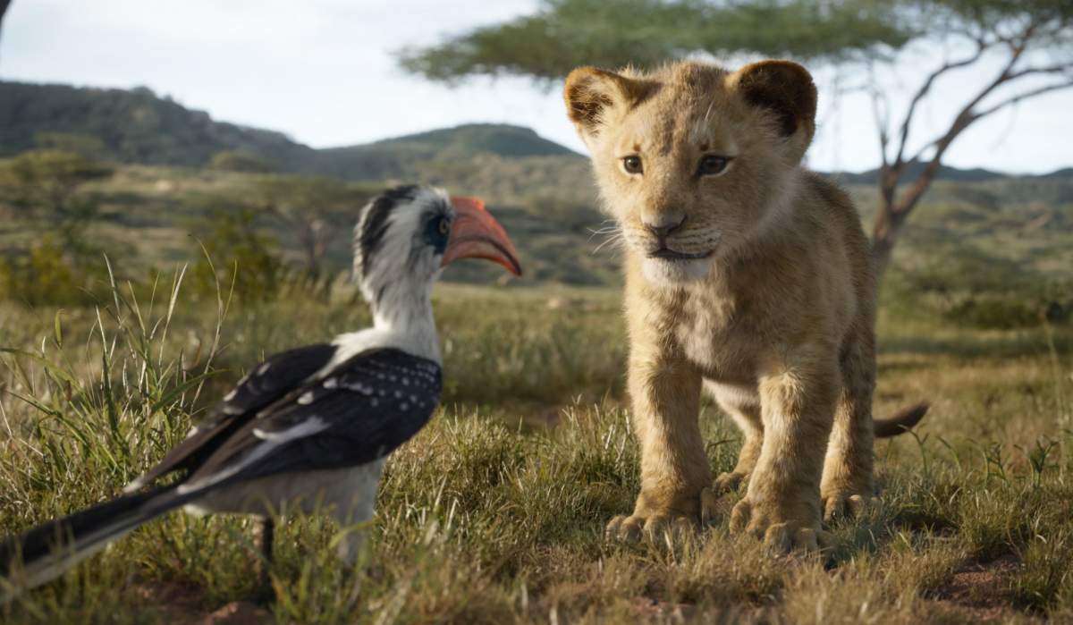 THE LION KING – Featuring the voices of John Oliver as Zazu, and JD McCrary as Young Simba, Disney’s ‘The Lion King’ is directed by Jon Favreau. © 2019 Disney Enterprises, Inc. All Rights Reserved.