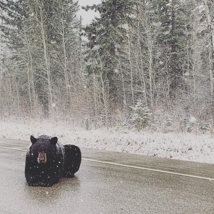 Brandon McCallum took the May 18 Your Saskatchewan photo in Green Lake.