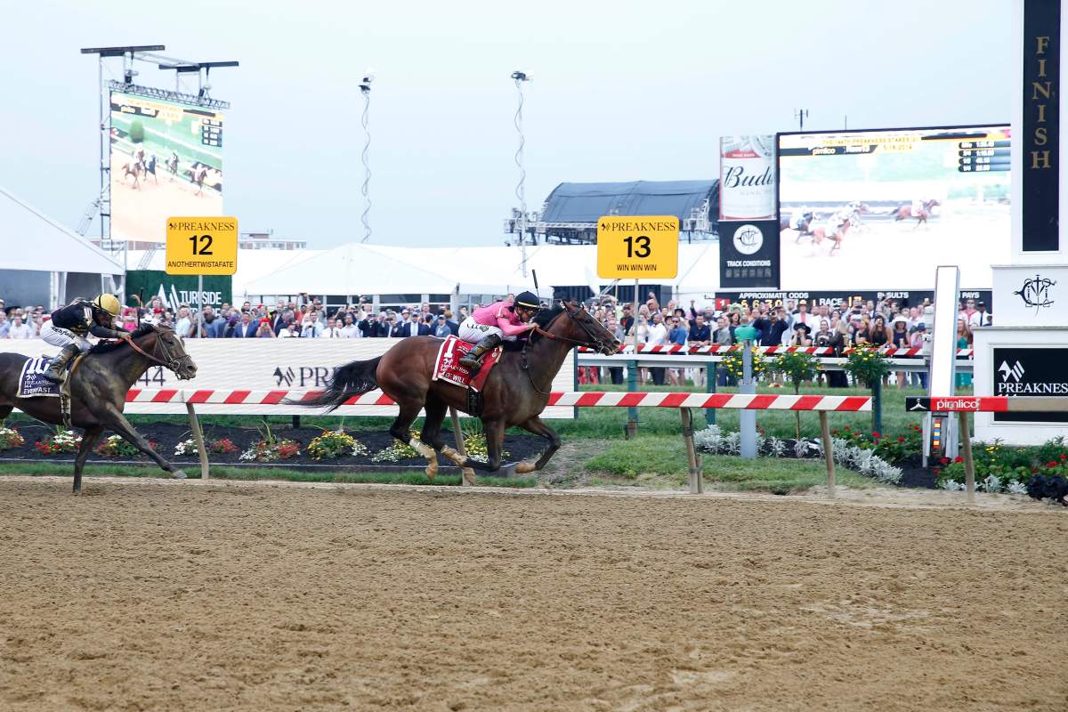 Tyler Gaffalione aboard War of Will (1) wins the 144th running of the Preakness Stakes at Pimlico Race Course.