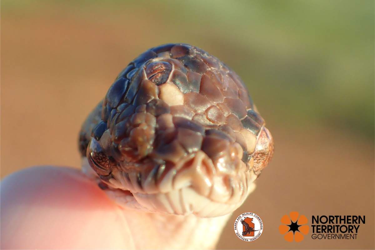 The Northern Territory Parks and Wildlife Service