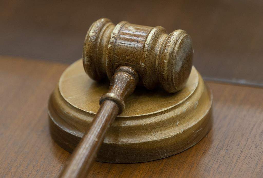 The B.C. Court of Appeal says 4-year old Australian cattle dog Punky is dangerous, and has upheld an order to have him euthanized.
