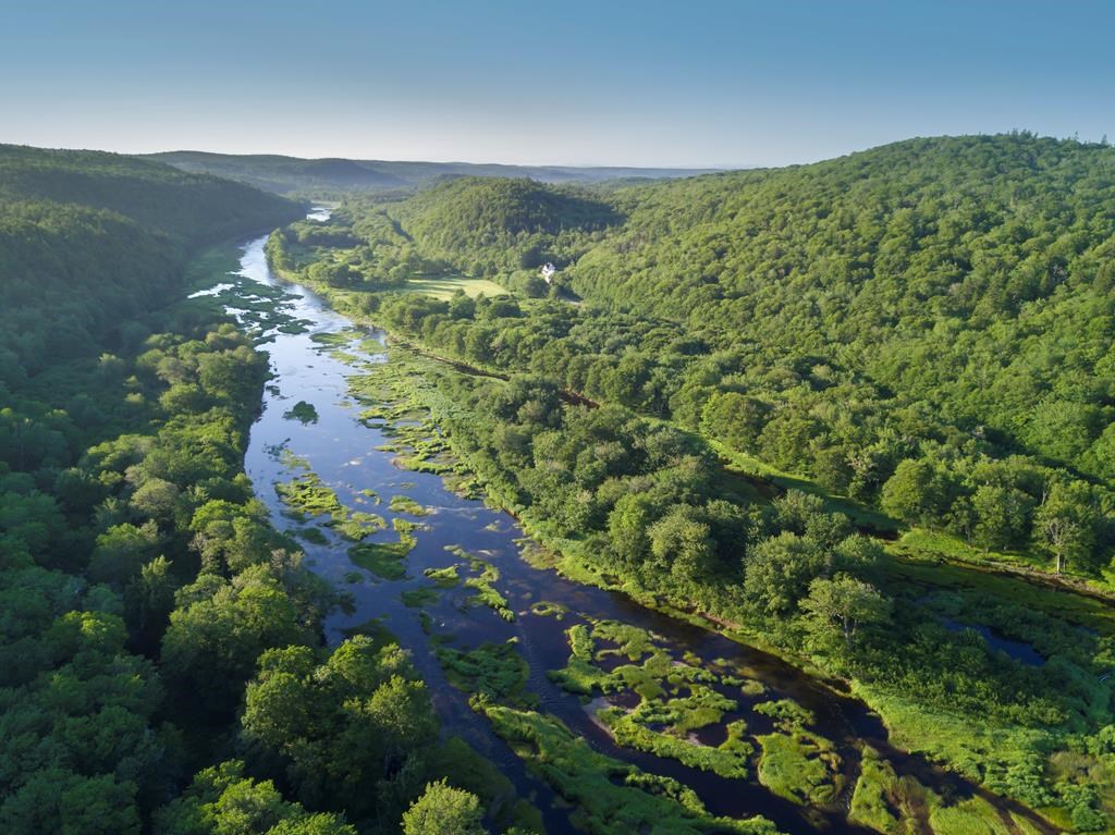 Nova Scotia Liberals alter tabled biodiversity bill by reducing enforcement powers - image
