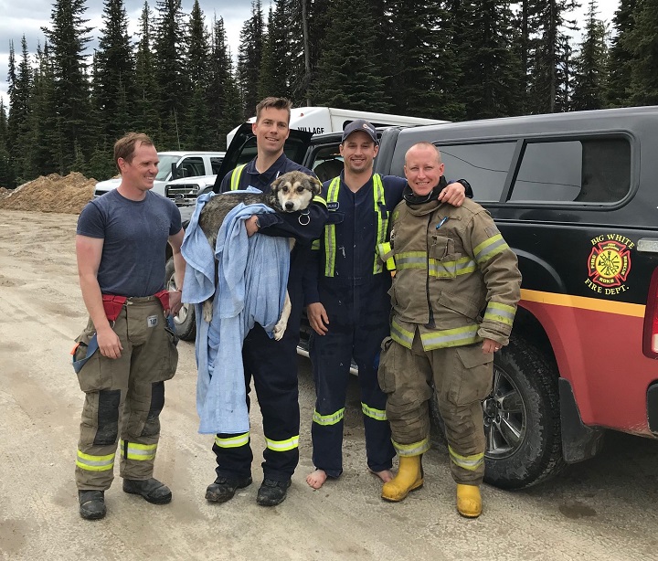 Big White firefighters gather for a photo after rescuing the missing dog from Lake Paul on Monday afternoon.