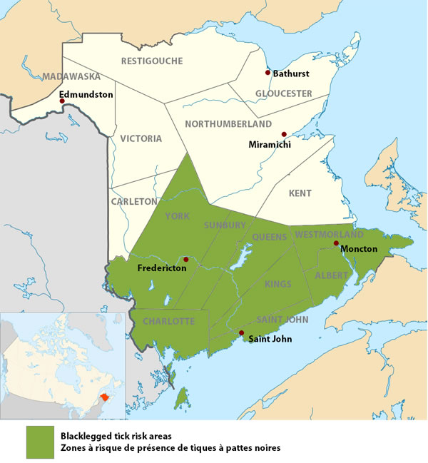 Lyme disease risk areas in New Brunswick.