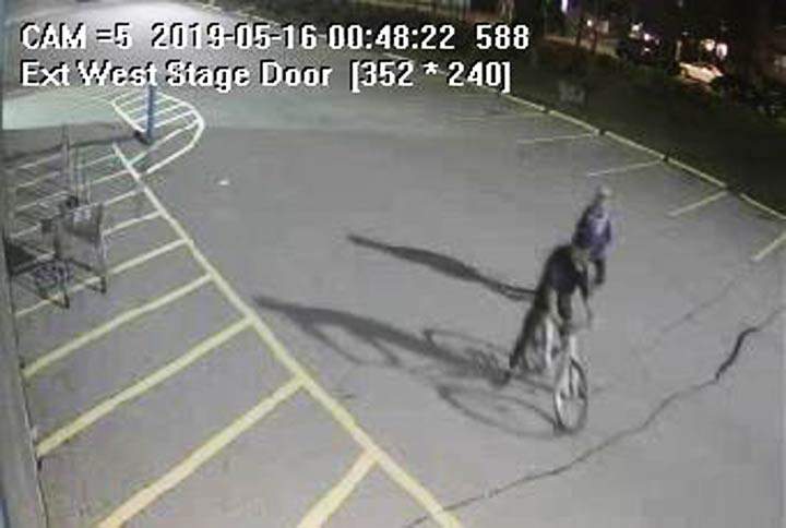 Prince Albert police have released surveillance photos of two alleged suspects after a string of vandalism in the city.