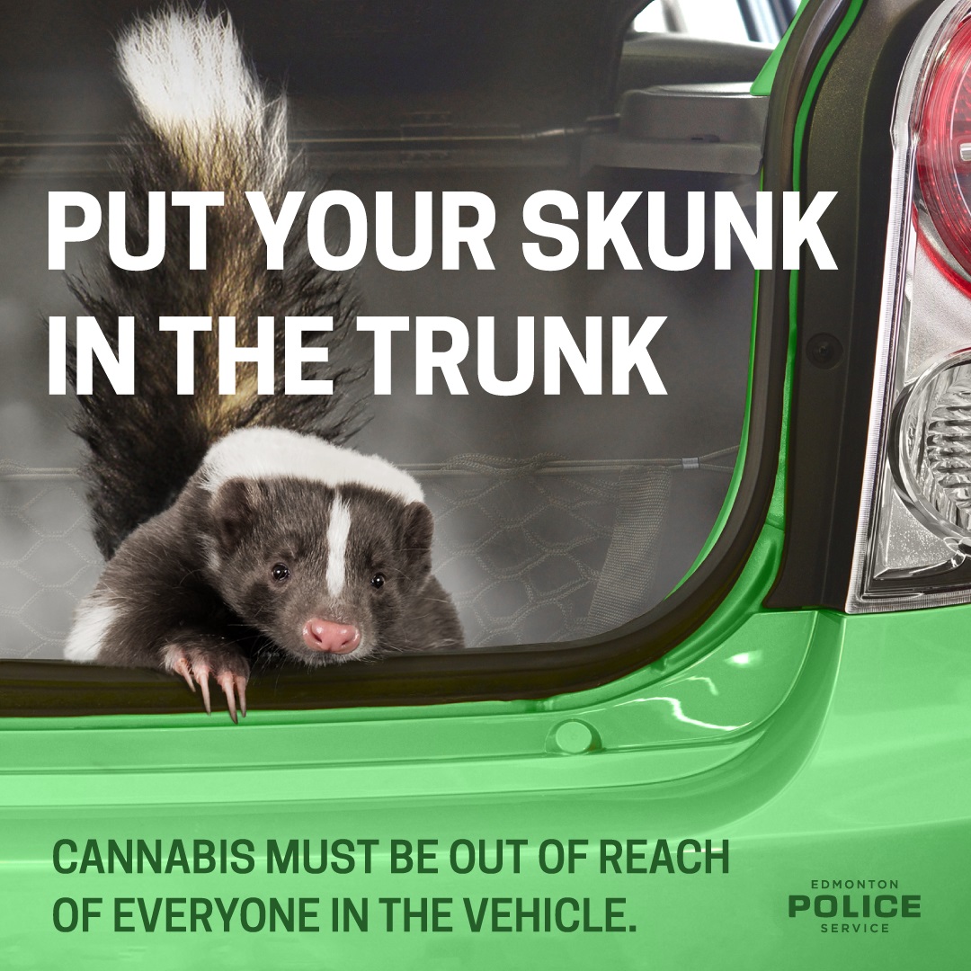 Edmonton police cannabis campaign.